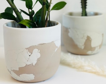 Amie Planter | Layered Concrete Planter | Tulip Shaped Plant Pot | Minimalist Planter | Indoor Planter