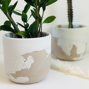Amie Planter | Layered Concrete Planter | Tulip Shaped Plant Pot | Minimalist Planter | Indoor Planter
