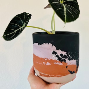 May include: A black velvet leaf plant in a black and terracotta patterned planter. The planter has a pink, orange, and black abstract design.