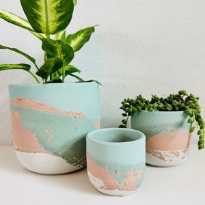 May include: Three concrete planters in different sizes with a light blue and pink marbled design. The largest planter has a green plant inside, the middle planter is empty, and the smallest planter has a small green succulent inside.