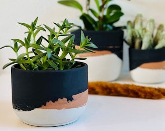 Often Planter | Layered Concrete Planter | Minimalist Planter | Indoor Planter