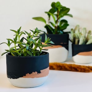Often Planter | Layered Concrete Planter | Minimalist Planter | Indoor Planter