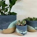 see more listings in the Concrete Planters section