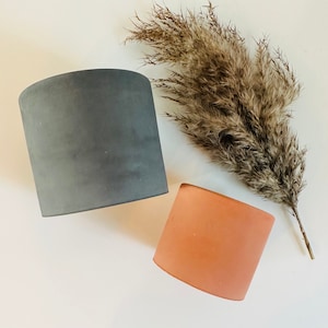 May include: Two concrete planters, one gray and one terracotta, with a dried pampas grass sprig in the background.