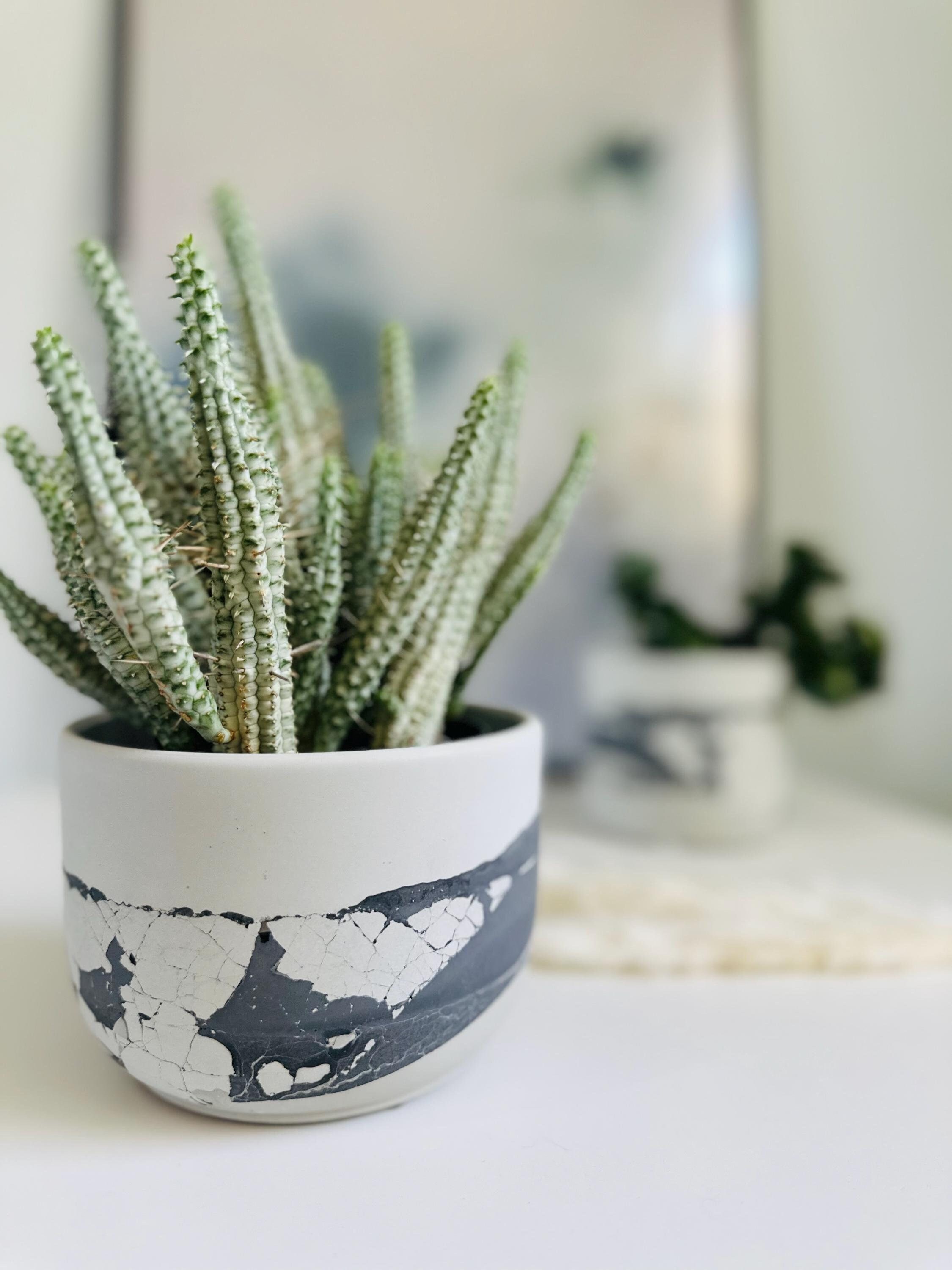Dark Times Planter | Off White, Charcoal and Gray Layered Concrete Planter | Tulip Shaped Plant Pot | Minimalist Planter