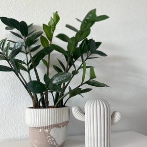 May include: A white ceramic cactus sculpture with a ribbed texture and two arms, next to a potted ZZ plant with dark green leaves in a white and pink planter.