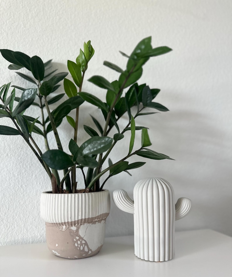May include: A white ceramic cactus sculpture with a ribbed texture and two arms, next to a potted ZZ plant with dark green leaves in a white and pink planter.