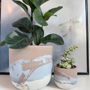Pu&ograve; includere: Due vasi in cemento con un designo marmorizzato in azzurro, bianco e marrone. Il vaso pi&ugrave; grande contiene una pianta verde a foglia, e il vaso pi&ugrave; piccolo contiene una succulenta.