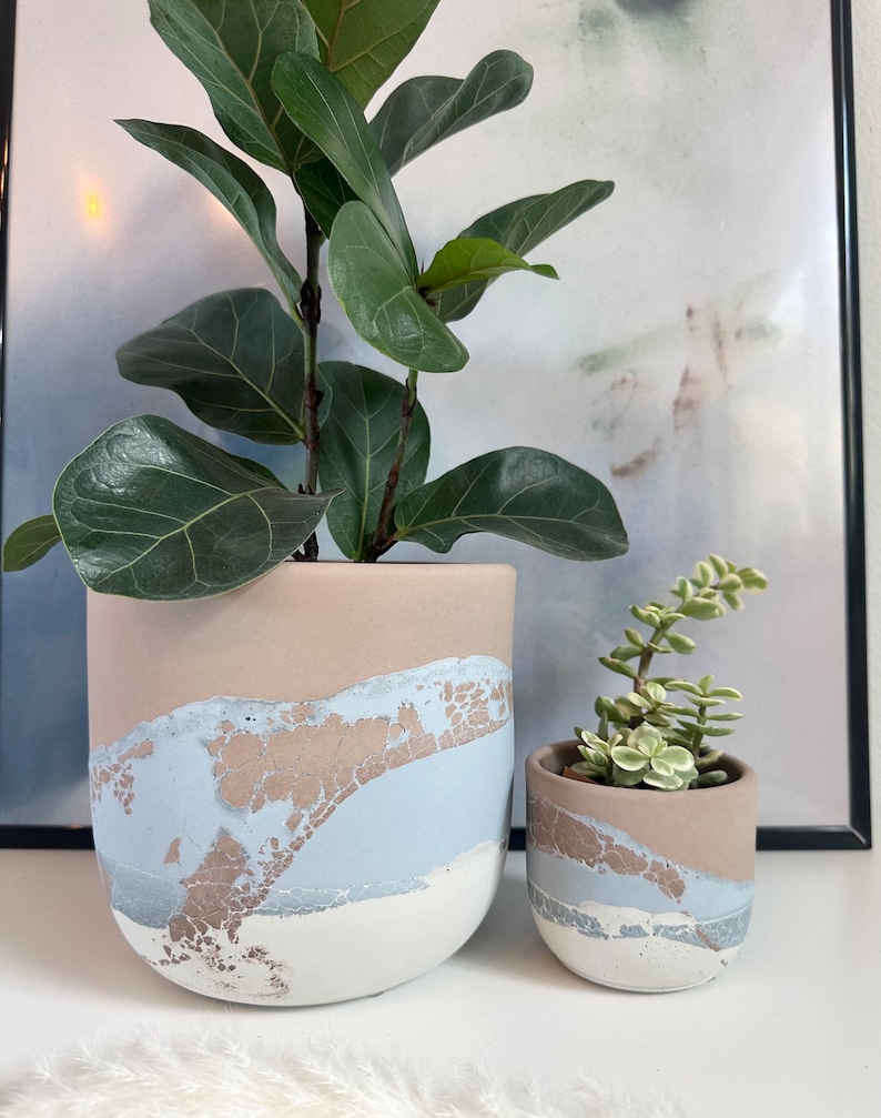 Pu&ograve; includere: Due vasi in cemento con un designo marmorizzato in azzurro, bianco e marrone. Il vaso pi&ugrave; grande contiene una pianta verde a foglia, e il vaso pi&ugrave; piccolo contiene una succulenta.