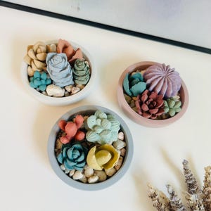 Concrete Succulent Bowl Planter: Handmade Cactus Decor