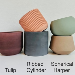 Pu&ograve; includere: Tre diversi stili di vasi in cemento. Il primo &egrave; un vaso a forma di tulipano marrone. Il secondo &egrave; un vaso cilindrico a coste grigio. Il terzo &egrave; un vaso sferico verde con una base marrone.