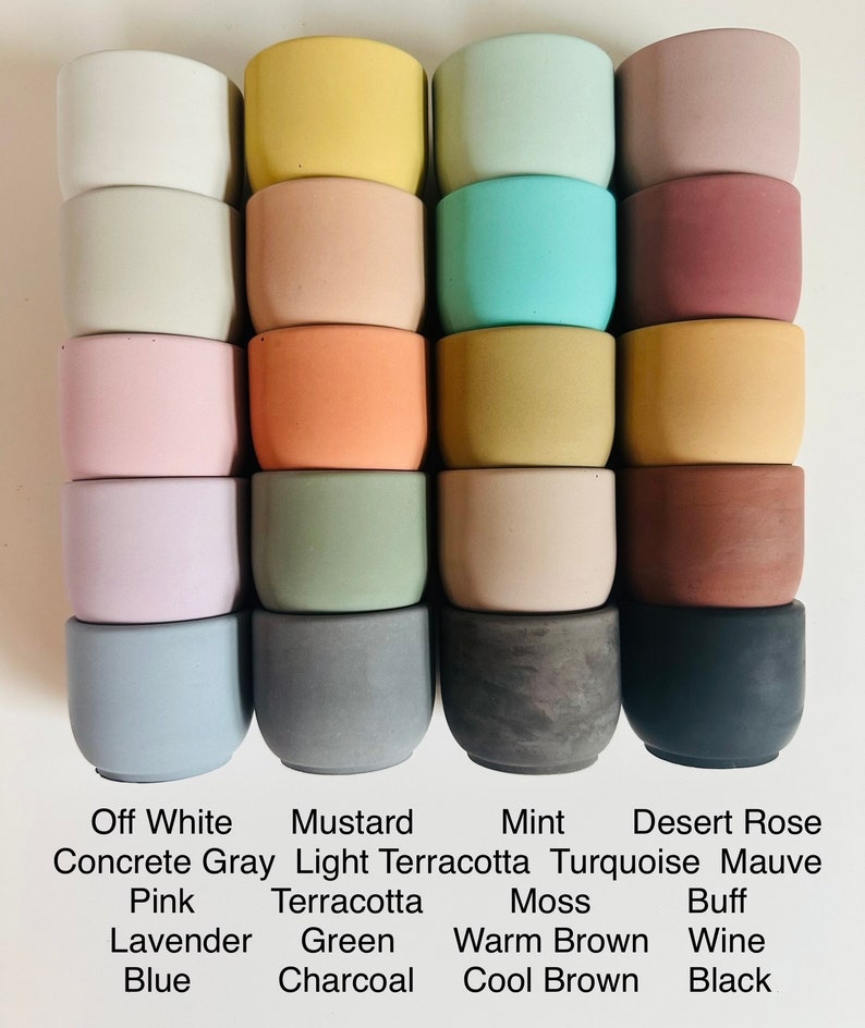 Pu&ograve; includere: Un set di 12 piccoli vasi in cemento di vari colori, tra cui bianco sporco, grigio cemento, rosa, lavanda, blu, senape, terracotta chiaro, terracotta, verde, carbone, menta, turchese, rosa del deserto, malva, beige, marrone caldo, marrone freddo, vino e nero.