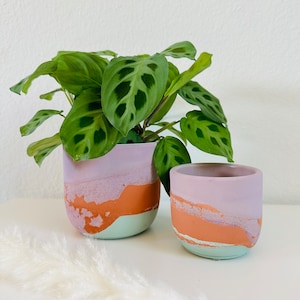 May include: Two pastel pink and green ceramic planters with a textured finish. The larger planter has a green plant with large, dark green leaves.