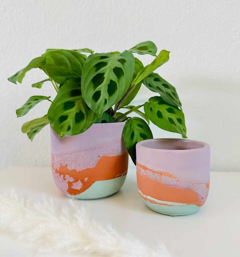 May include: Two pastel pink and green ceramic planters with a textured finish. The larger planter has a green plant with large, dark green leaves.