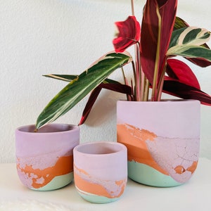 May include: Three different sized, hand-painted ceramic planters in shades of purple, orange, and green. The planters are displayed on a white surface with a fluffy white rug in the foreground.