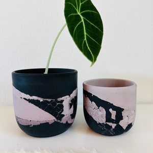 Pu&ograve; includere: Due vasi in ceramica nera e viola con una smaltatura craquel&eacute;. Il vaso pi&ugrave; grande ha una pianta verde con una singola foglia.