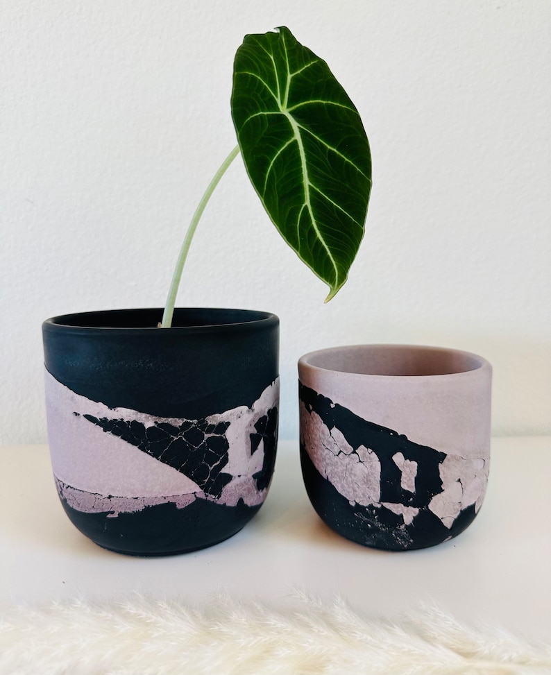 Pu&ograve; includere: Due vasi in ceramica nera e viola con una smaltatura craquel&eacute;. Il vaso pi&ugrave; grande ha una pianta verde con una singola foglia.