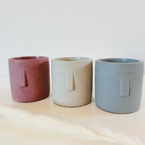 May include: Three small concrete planters with a face design. The planters are in shades of pink, gray, and white.
