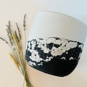 Less Than Zero Planter | Off White and Black | Layered Concrete Planter | Tulip Shaped Plant Pot | Minimalist Planter | Indoor Planter
