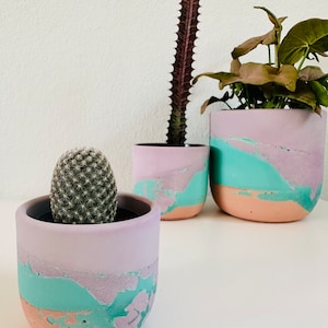 May include: Three concrete planters in different sizes with a light pink, teal, and peach color scheme. The planters are filled with plants, including a cactus and a leafy plant.