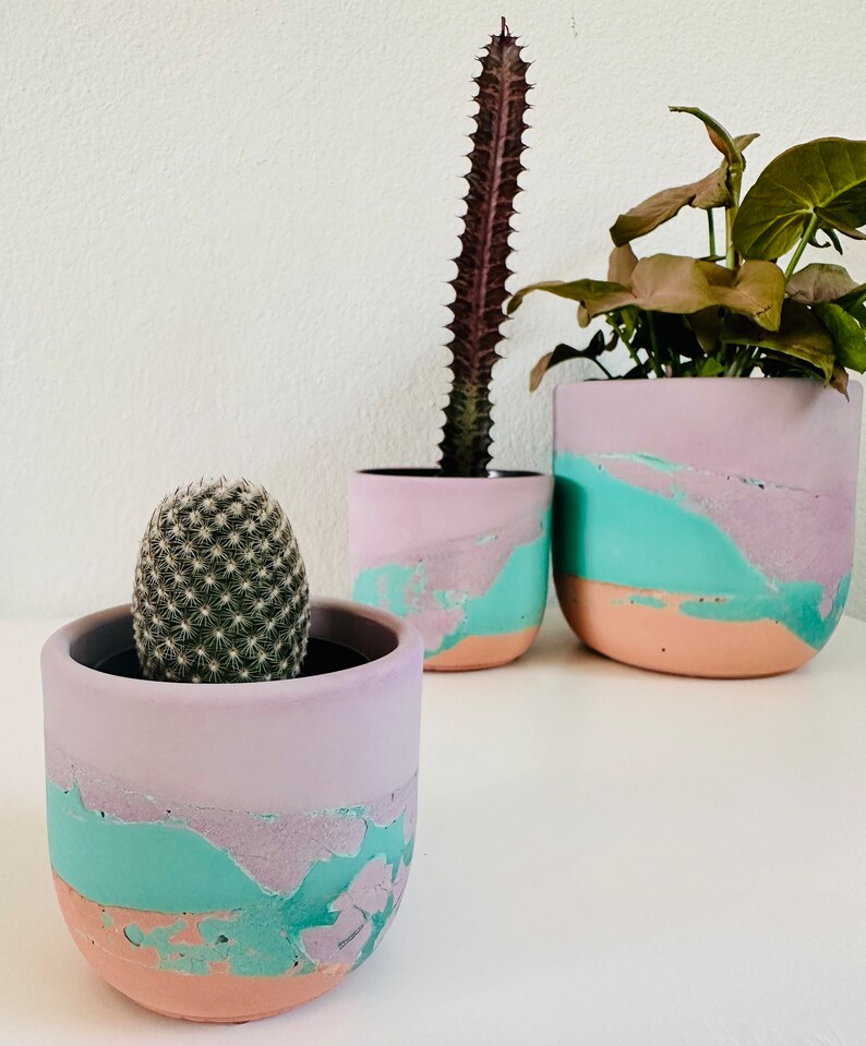 May include: Three concrete planters in different sizes with a light pink, teal, and peach color scheme. The planters are filled with plants, including a cactus and a leafy plant.
