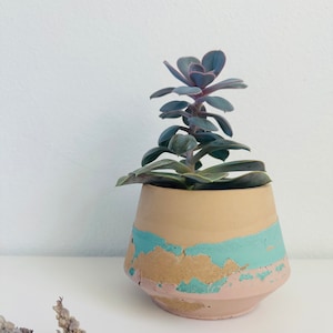 Pu&ograve; includere: Una piccola pianta succulenta in un vaso di cemento marrone chiaro, rosa e turchese. Il vaso ha un aspetto di vernice usurata e scheggiata.