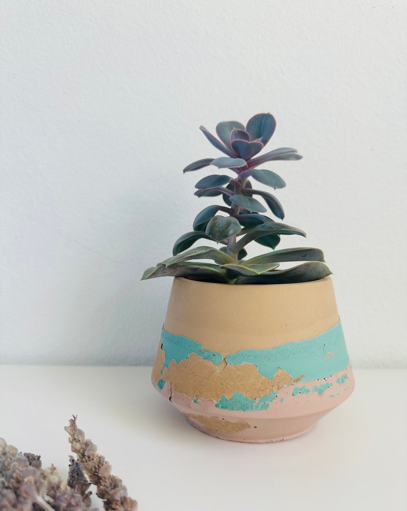Pu&ograve; includere: Una piccola pianta succulenta in un vaso di cemento marrone chiaro, rosa e turchese. Il vaso ha un aspetto di vernice usurata e scheggiata.