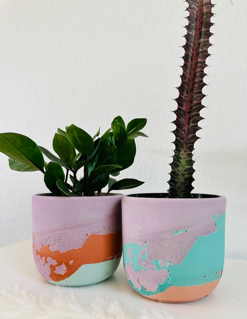 May include: Two colorful concrete planters with a distressed finish. One planter is light purple, orange, and green, and the other is light purple, teal, and orange. A green plant is in the first planter and a tall, spiky cactus is in the second planter.