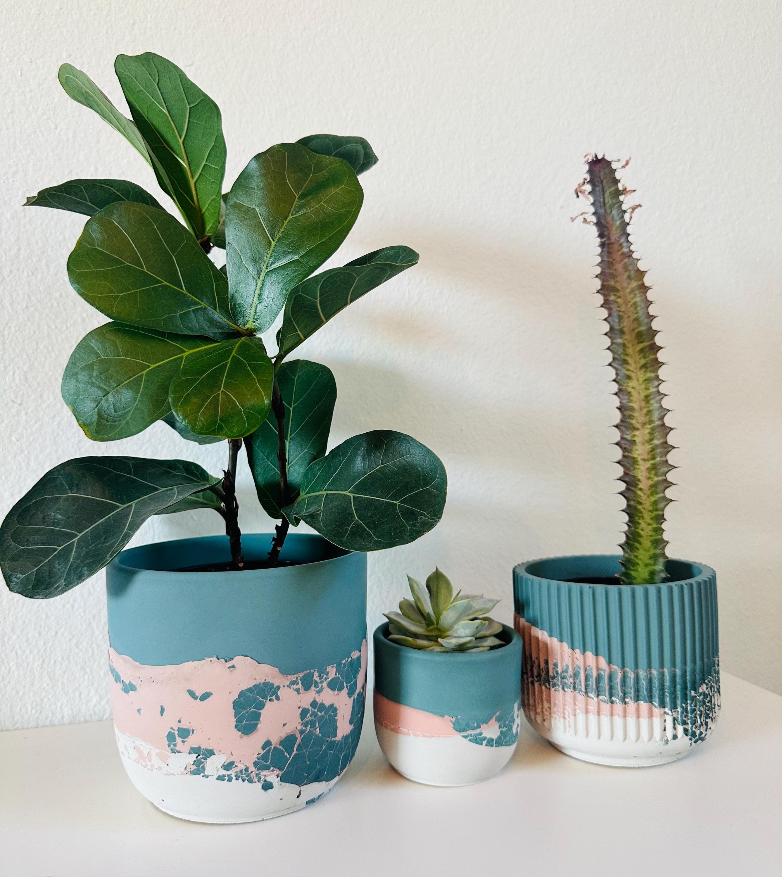 Happy House Planter | Layered Concrete Planter | Tulip Shaped Plant Pot |  Minimalist Planter | Indoor Planter - Etsy
