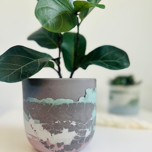 Pu&ograve; includere: Una piccola pianta con foglie verdi in un vaso di cemento grigio, bianco e rosa con una finitura usurata.