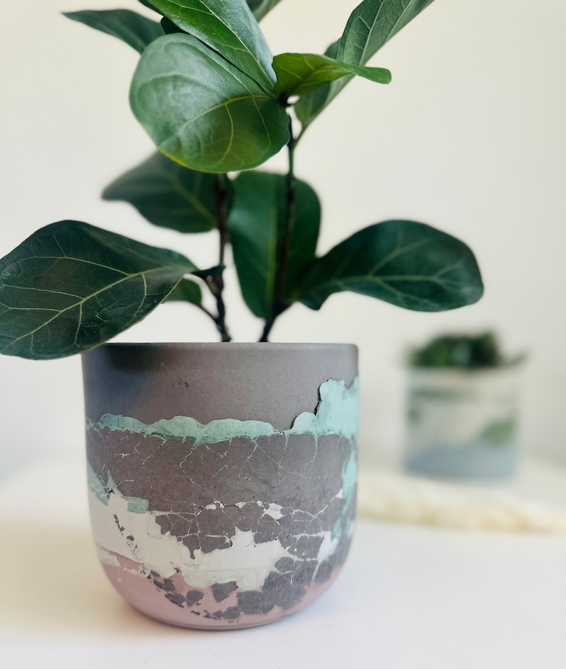 Pu&ograve; includere: Una piccola pianta con foglie verdi in un vaso di cemento grigio, bianco e rosa con una finitura usurata.