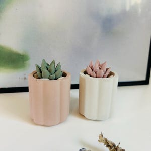 Concrete Succulent Planter | Cactus Decor | Minimalist Decor | Concrete Decor