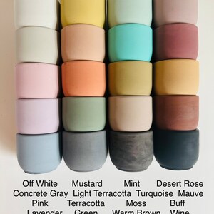 May include: A set of 12 small concrete planters in various colors, including off white, concrete gray, pink, lavender, blue, mustard, light terracotta, terracotta, green, charcoal, mint, turquoise, desert rose, mauve, buff, warm brown, cool brown, wine, and black.