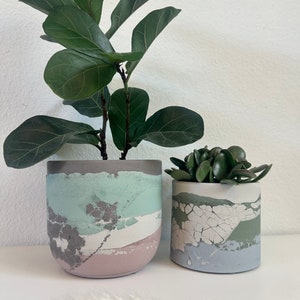 Pu&ograve; includere: Due vasi in cemento con un designo unico a marmi. Il vaso pi&ugrave; grande &egrave; verde chiaro, bianco e rosa, e il vaso pi&ugrave; piccolo &egrave; grigio, verde e bianco. Entrambi i vasi sono pieni di piante.