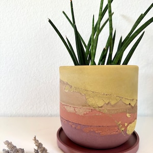 Pu&ograve; includere: Un vaso di cemento giallo, rosa e marrone con una finitura a glitter dorata. Il vaso ha un sottovaso rosa abbinato ed &egrave; riempito con una pianta serpente verde.