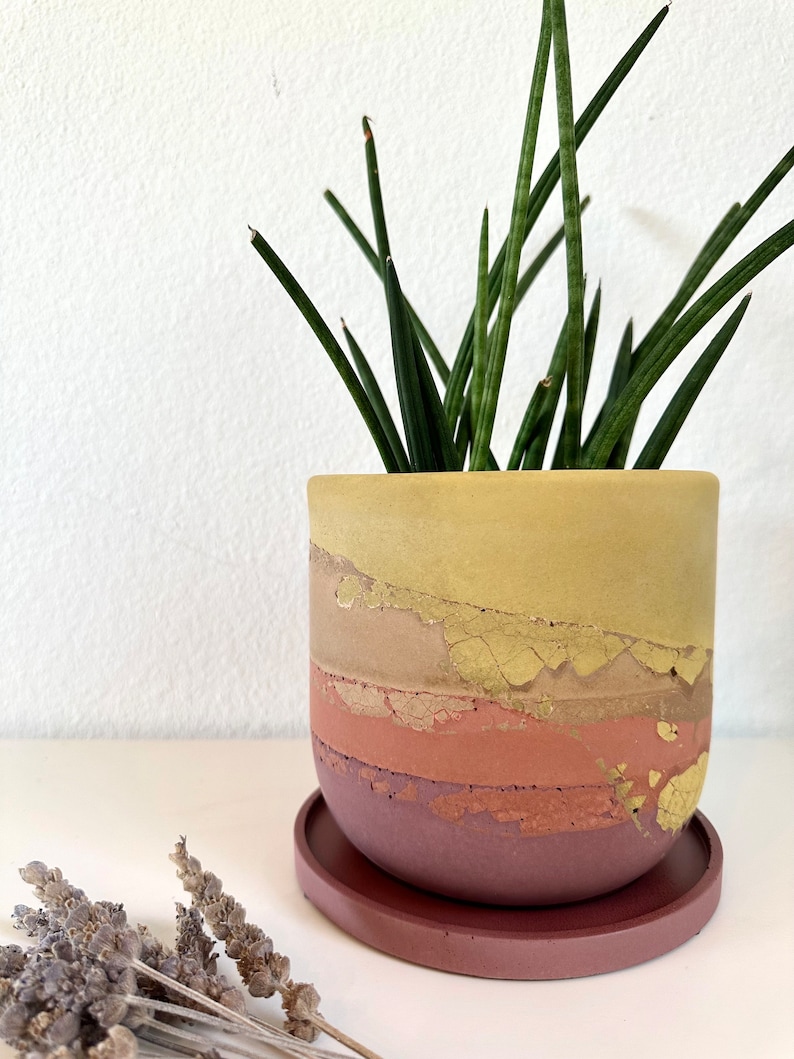 Pu&ograve; includere: Un vaso di cemento giallo, rosa e marrone con una finitura a glitter dorata. Il vaso ha un sottovaso rosa abbinato ed &egrave; riempito con una pianta serpente verde.