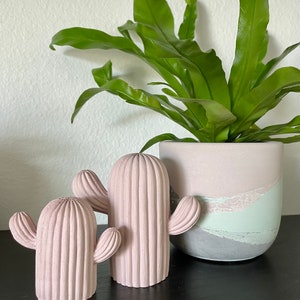 May include: Two pink concrete cactus sculptures with a green fern plant in a pink and gray planter.