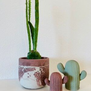 May include: Three cactus plants in different sizes and colors. The largest cactus is in a white and brown pot with a crackled finish. The two smaller cacti are in a green and brown color.