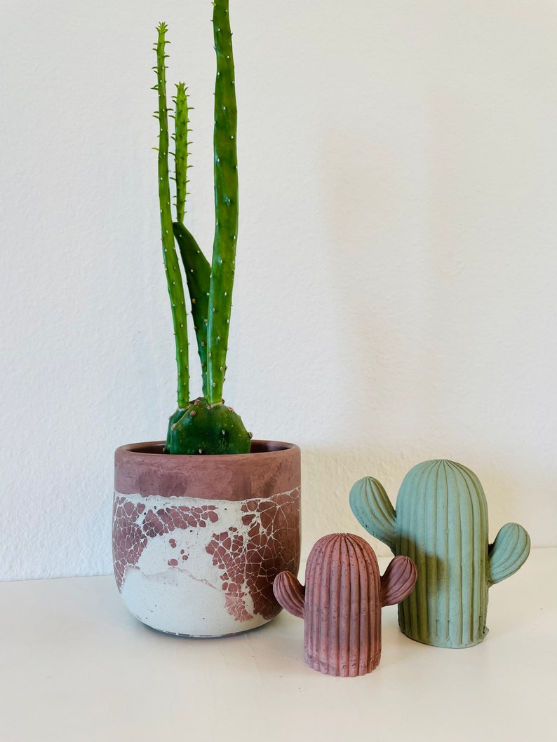 May include: Three cactus plants in different sizes and colors. The largest cactus is in a white and brown pot with a crackled finish. The two smaller cacti are in a green and brown color.