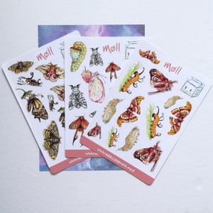 stickerSheet Møll • Moth • Motten für Planer, Kalender, Bullet Journal, Scrapbooks & mehr! ][ handmade