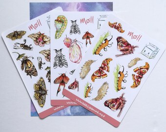 stickerSheet Møll • Moth • Motten für Planer, Kalender, Bullet Journal, Scrapbooks & mehr! ][ handmade