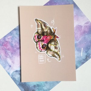 cartes postales / cartes de vœux - Møll • Moth • Moths ][ Papeterie