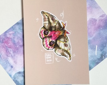 postCards / greetingCards - Møll • Moth • Motten ][ Stationery