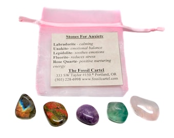 May include: A pink pouch with a card inside that reads "Stones For Anxiety" and lists various crystals and their properties. The pouch contains five tumbled stones: labradorite, unakite, lepidolite, fluorite, and rose quartz.