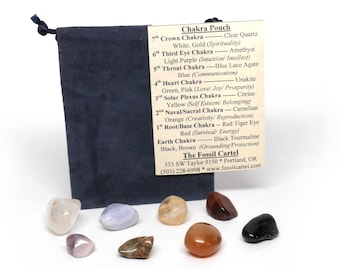 Pouch PROTECTION Tumbled Crystal Healing  = 4 Stones
