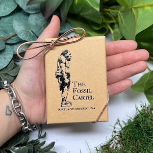 K&ouml;nnte beinhalten: Eine braune Schachtel mit einem goldenen Band darum gebunden. Die Schachtel hat ein Cartoon-Bild eines H&ouml;hlenmenschen darauf und den Text "THE FOSSIL CARTEL PORTLAND, OREGON U.S.A."