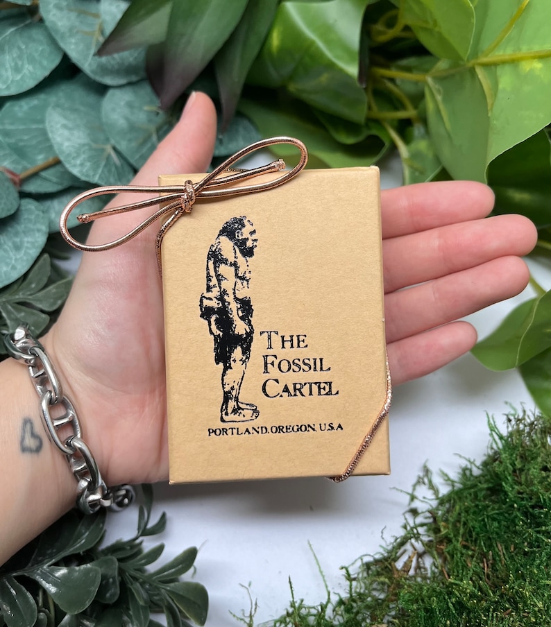 K&ouml;nnte beinhalten: Eine braune Schachtel mit einem goldenen Band darum gebunden. Die Schachtel hat ein Cartoon-Bild eines H&ouml;hlenmenschen darauf und den Text "THE FOSSIL CARTEL PORTLAND, OREGON U.S.A."