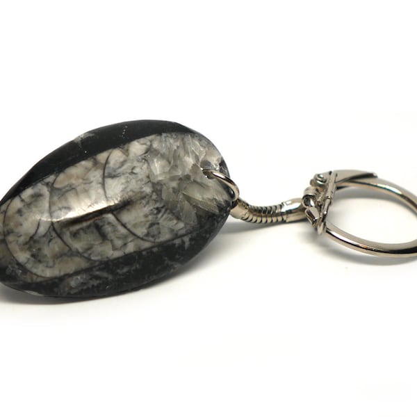 Orthoceras Fossil Key Chain