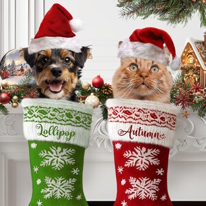 Puede incluir: Un cachorro de Yorkshire Terrier y un gato jengibre con gorros de Papá Noel asoman por calcetines navideños. El calcetín verde dice "Lollipop" y el rojo "Autumn". Ambos calcetines tienen diseños de copos de nieve blancos.