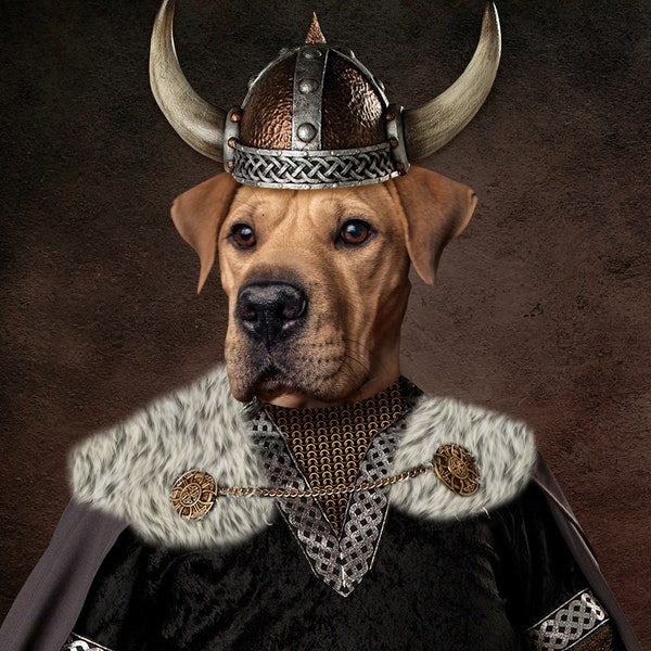 Custom Dog Portrait, Personalized Viking Dog Portrait, Digital Pet Portrait from Photo, Funny Pet Portrait, Custom Pet Portrait